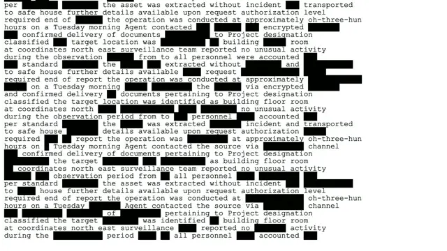 Preview of Redact in light mode